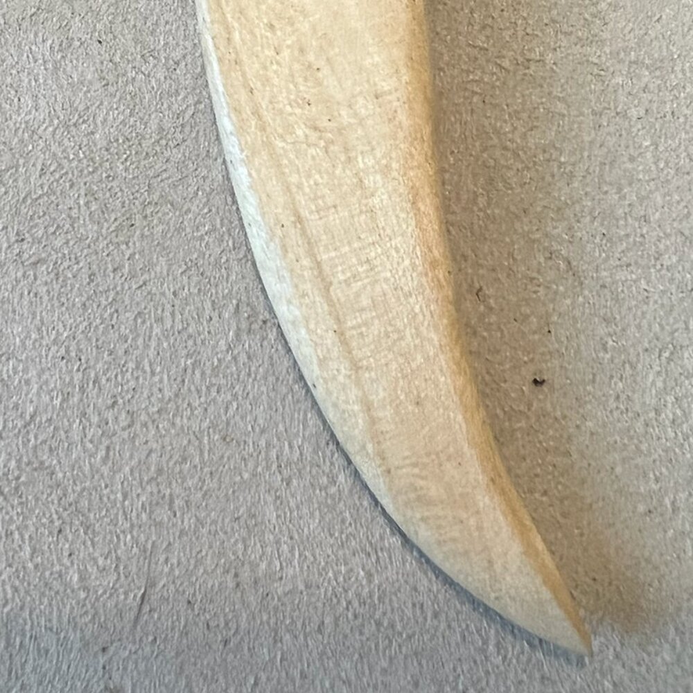 Faux Wood Saber Tooth